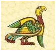 Descrizione: G:\Documents and Settings\Fioravante\Desktop\RICERCA -UCCELLO GRIFONE\Immagini dell'uccello grifone\images 4.jpg